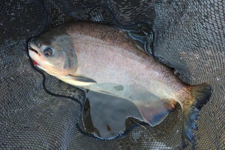 午後からのんびりと浜名湖フィッシングリゾー…